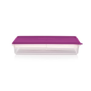 Tupperware® Snack-Stor® Large Airtight Food Storage Container