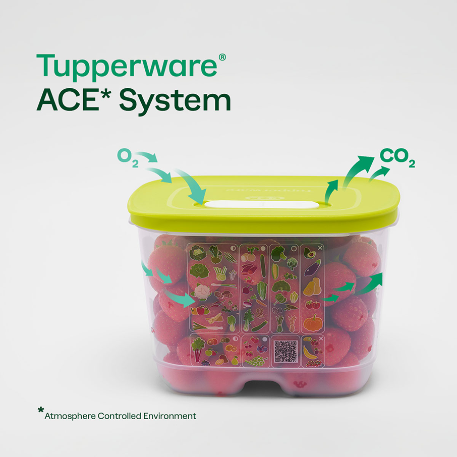Tupperware? FridgeSmart? Vertical | Produce Storage Container With Lid - Image 2
